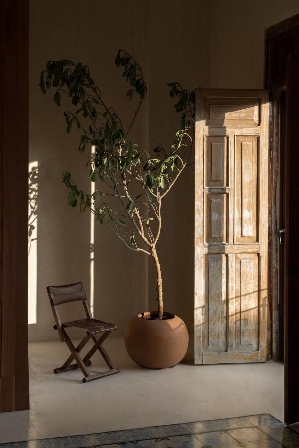 Narrativ Lofts - Numen - Stylish Hideaway Lejlighed Campeche Eksteriør billede
